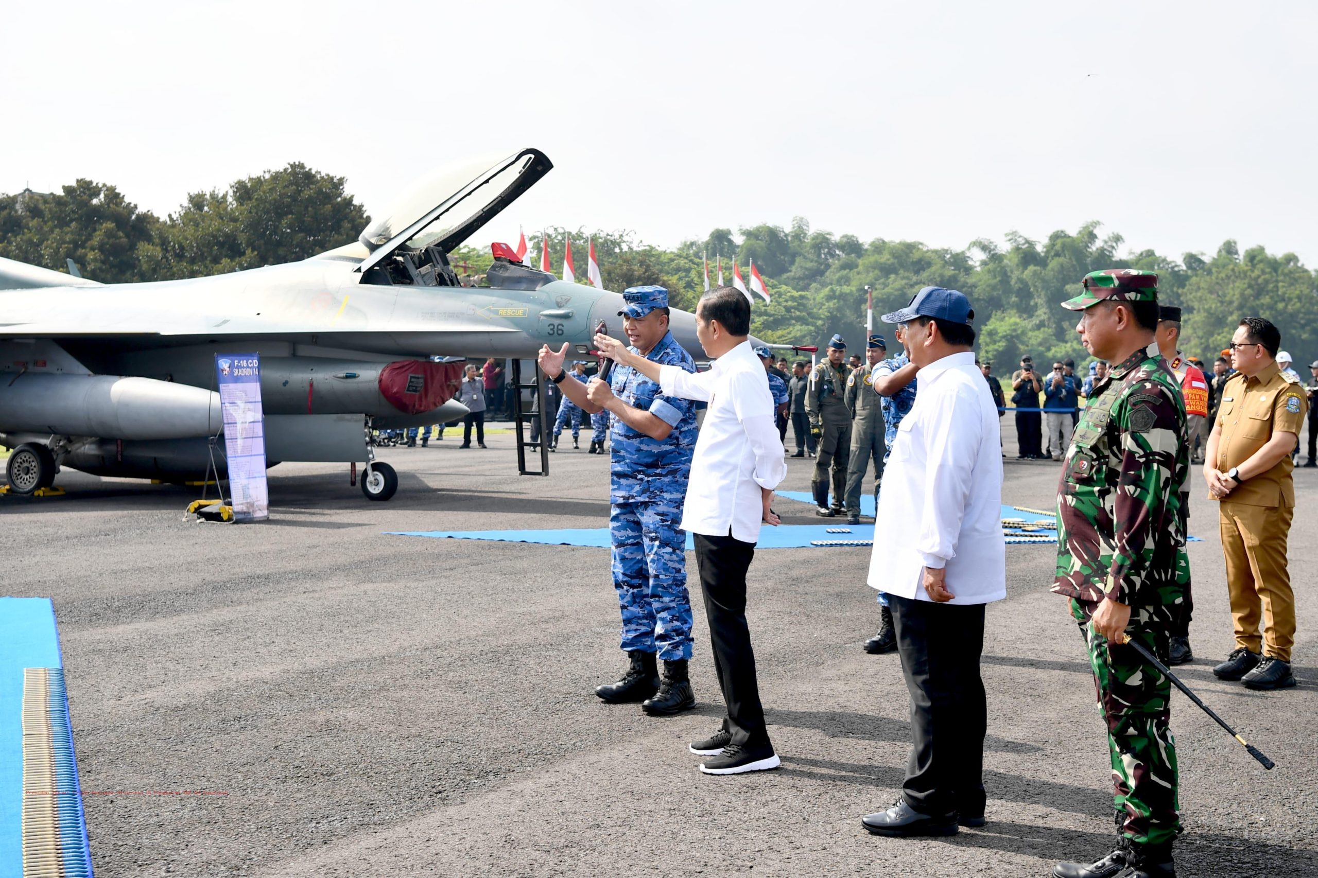 Bapak Jokowi Dodo
